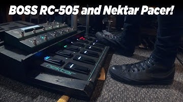 Nektar Pacer MIDI Footswitch LED Custom Colour Setup With The BOSS RC-505 -  Tutorial