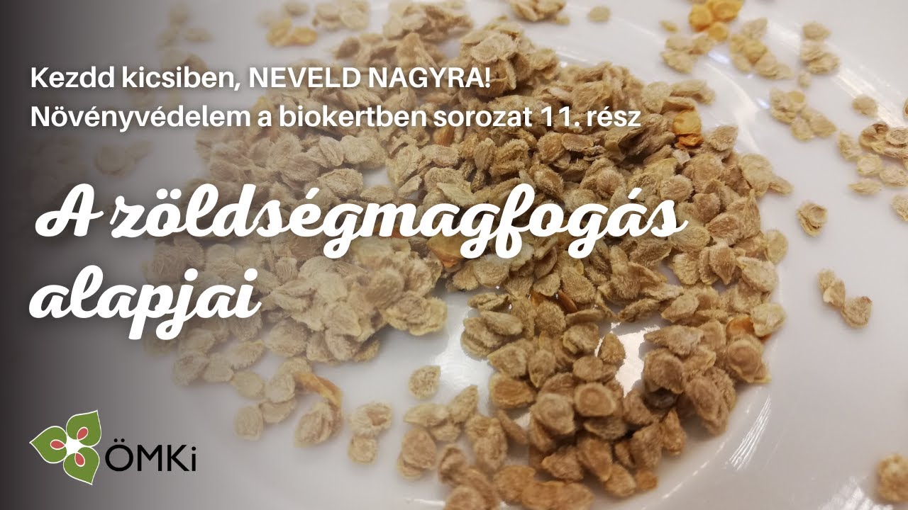 A zöldségmagfogás alapjai