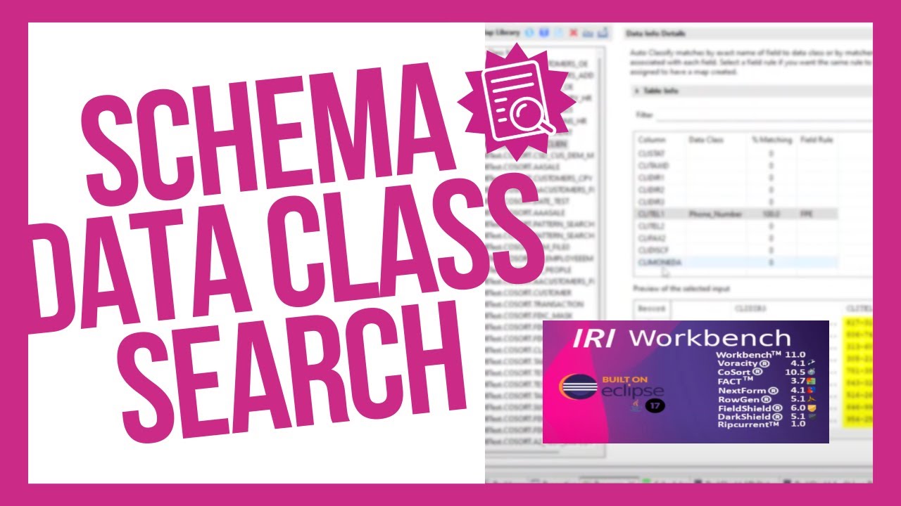 IRI Schema Data Class Search - YouTube
