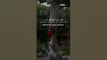 اذا المرء لم يرضى بما ربه وهب 