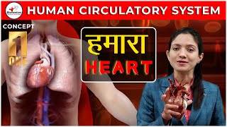 Human Circulatory System l Body Fluids and Circulation l By Preeti ma'am l L 8