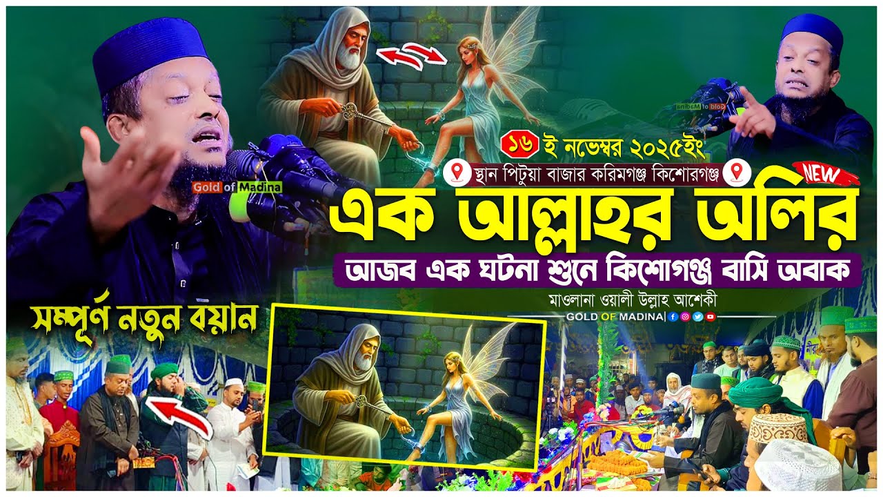 বিশ্ব বিখ্যাত এক আল্লাহর অলির আজব ঘটনা । ওলীদের কারামত সত্য । মাওলানা ওয়ালী উল্লাহ আশেকী ওয়াজ
