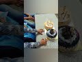 Part 2:Dadi's Birthday 🌟#MiniVlog #MiniVlogSeries #VlogSeries #DailyVlog#ShortVlog #LifeInShorts