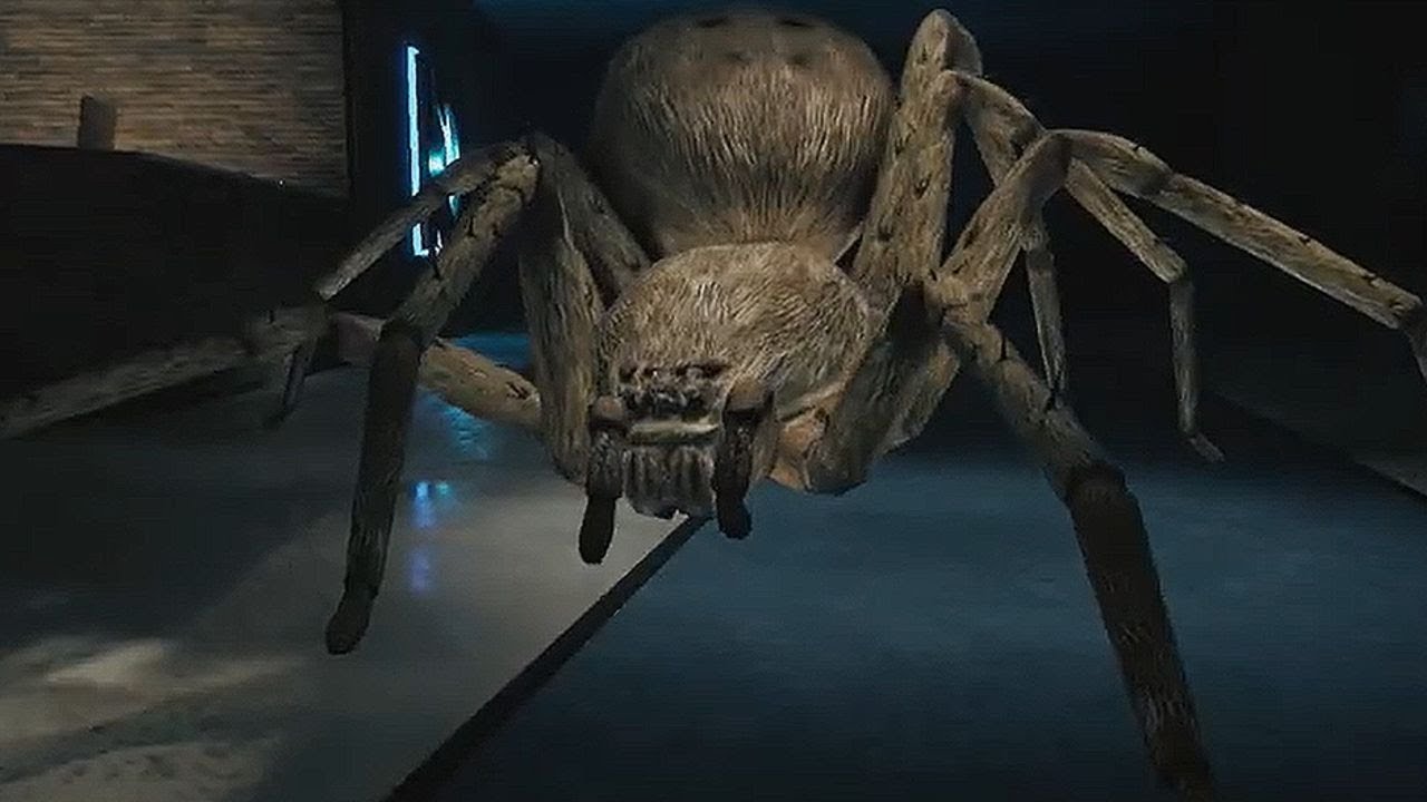 I have arachnophobia now | Huntsman