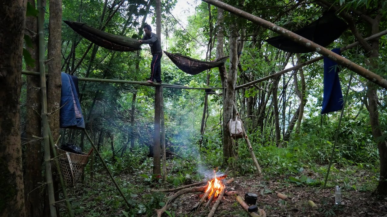 นอนป่าเขตรอยต่อ สูง3-4เมตรปลอดภัยระดับนึง มั่วตามหลังมาหลงป่าไปไกลเคาะไม้ส่งสัญญาณ [วรวิช]