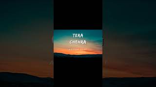 Tera Chehra by Adnan Sami