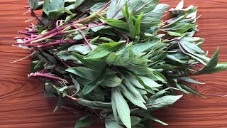 Tropical Roselle Leaves vegetable roselle