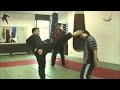 Donnie Yen Training (Extended)