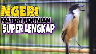 CENDET MATERI KEKINIAN SUPER LENGKAP 🔴cendet manapun pasti langsung nyaut dengar suara cendet ini