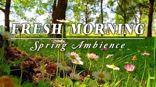 Fresh Morning Vibes🌞 Positive Feelings & Energy 🌿 Healing Spring Morning Sounds for a Positive Day#1