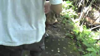 Someone Else Takes Charge Of The Camera As I Walk Ahead In The Jungle