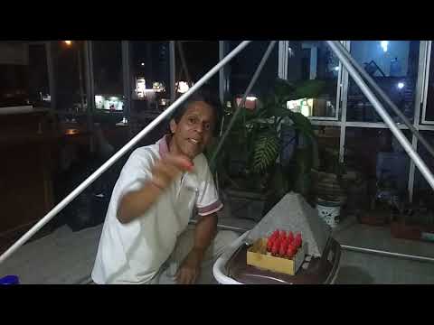 lambayeque convocatorias Beneficios del aceite esencial de limón en Terapias Piramidales