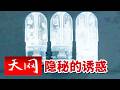 《天网》绝命毒师现原形！实验室化学品变身新型毒品 中泰越联手围剿制毒产业链 20260626
