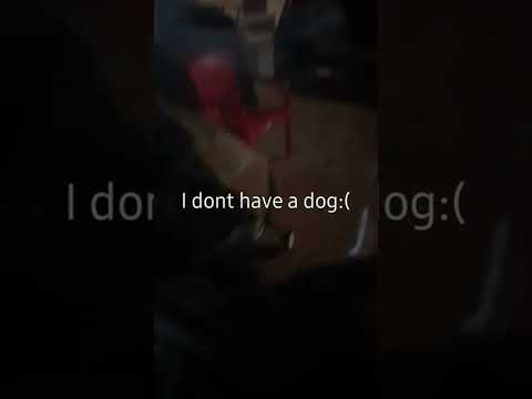 :(i dont have dog