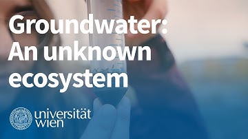 Groundwater - looking into the "invisible": Constanze Englisch explains her research