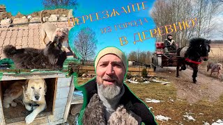 картинка: Переезжай в деревню! #фермаеникеево