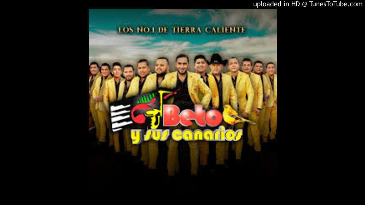 BETO Y SUS CANARIOS CORRIDOS DJGALLOGAYOSO WD