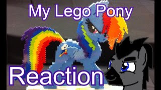 Blind Reaction Pony Jpl Reacts To My Lego Pony Rescue Of Angel