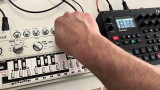 303 + Syntakt