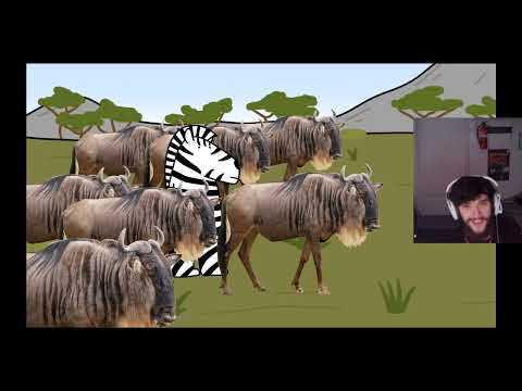 MrBaboon Reacts to Your Life as a Zebra