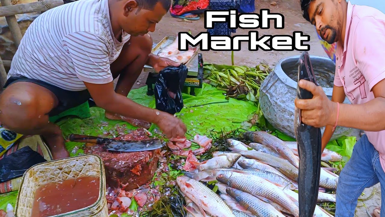 देशी मछलीयां 100/- रूपए किलो | कोलाशी बाजार कटिहार | Fish Market Letest Video 