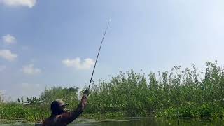 REJEKI NOMPLOK‼️ NEMU SPOT KAYA GINI, SEPI PEMANCING❗ Mancing Ikan Nila di Waduk Jabung Lamongan