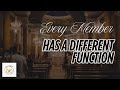 Every Member Has a Different Function | Prayer Teaching Devotional Challenge Day 21