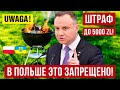 Штраф до 5000 злотых в Польше! Украинцам это надо знать!