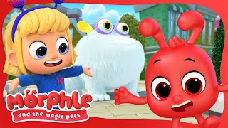 new series morphle and the magic pets gobblefrog available on disney and disney jr morphle