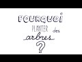 Pourquoi planter des arbres   fondation yves rocher