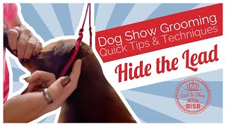 Dog Show Grooming: How to Bury the Collar by BIS B 1,287 views 3 years ago 2 minutes, 57 seconds