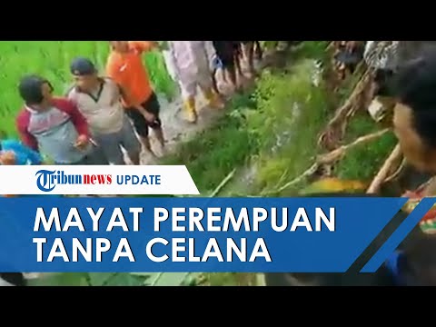 Mayat Perempuan Tanpa Celana Ditemukan di Karawang, Pakaian Dalam Tergeletak 10 Meter dari Jenazah