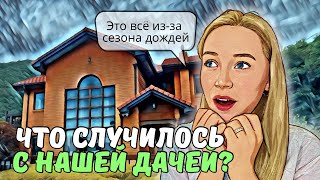 Плесень повсюду! Собираем урожай | Готовим корейские закуски| VLOG