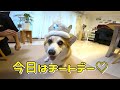 フライザップの成果が出たのかどうか、ビフォーアフター見てください