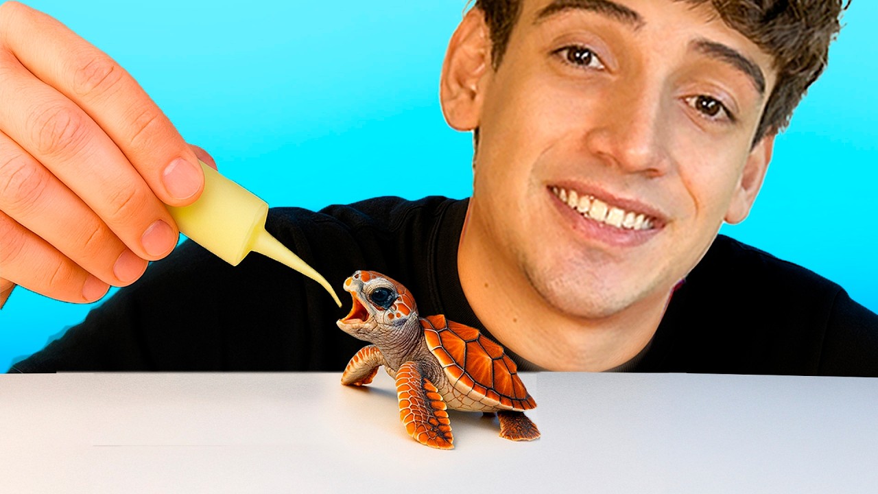 🩸Rescaté 1000 Huevos de Tortuga y Nacieron🩸