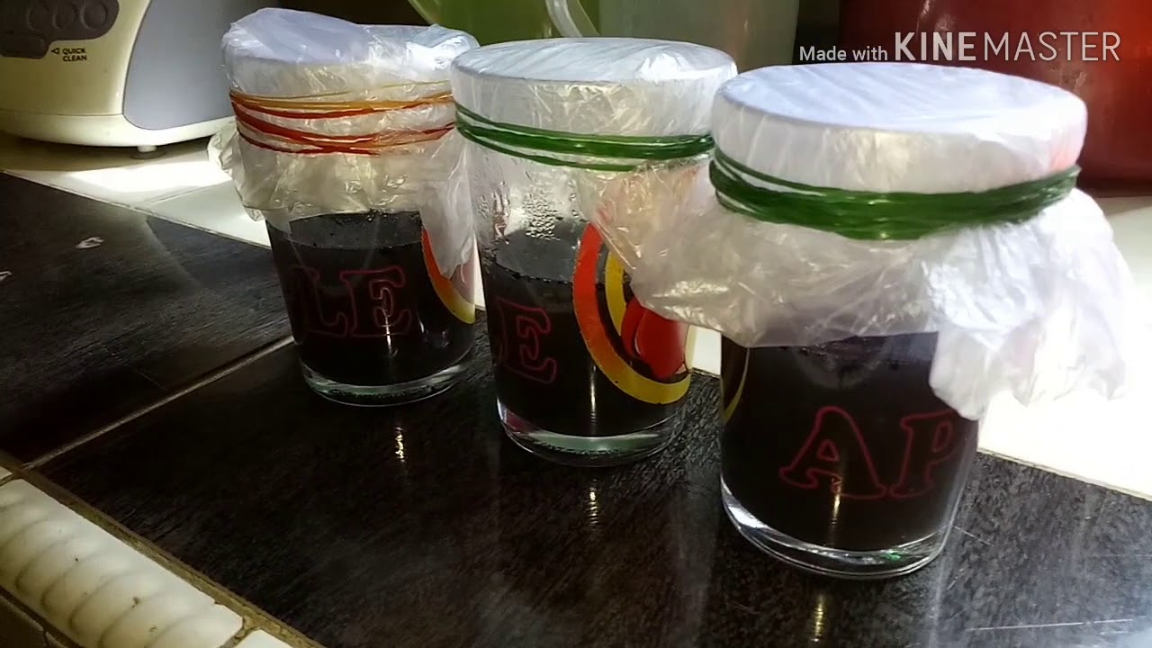 Membuat Kultur Jaringan Sederhana Skala Rumahan