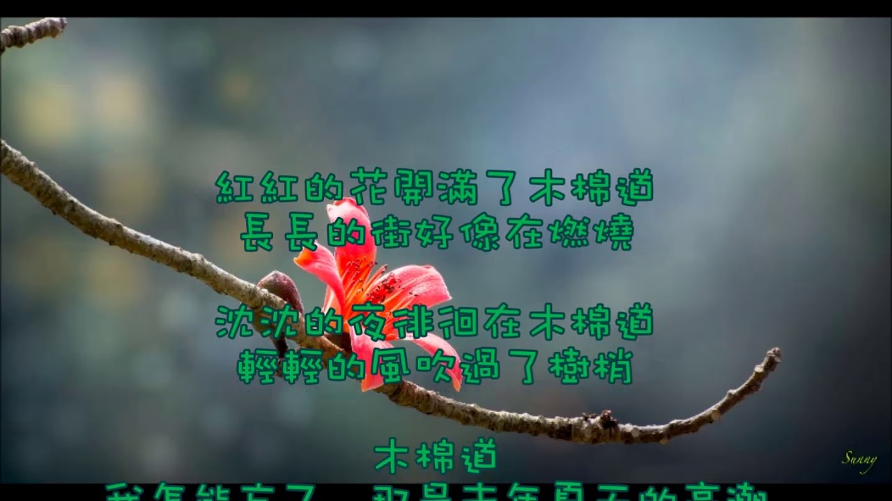 孟庭葦 木棉道 Youtube