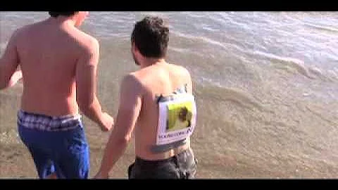 Polar Bear 2011 Bradford Beach Milwaukee.mov