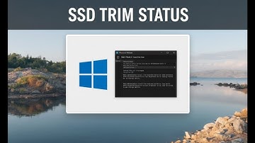 Is TRIM Enabled on Your SSD? How to Check It in Windows 11! [Full Tutorial]