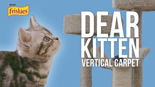Dear Kitten: The Vertical Carpet by Purina Friskies 3,008,535 views 8 years ago 1 minute, 51 seconds