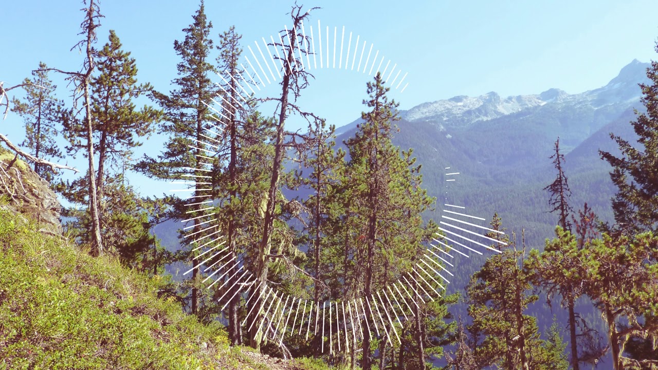 The Rare Classic Trance Collection: D-Gor - Signal Level (Original Mix) - Classic Hard Trance