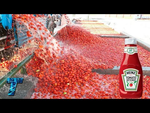 Видео: Где производится кетчуп?