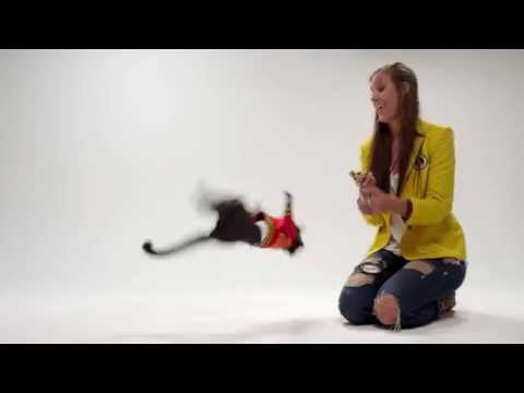 Monkey Backflip World