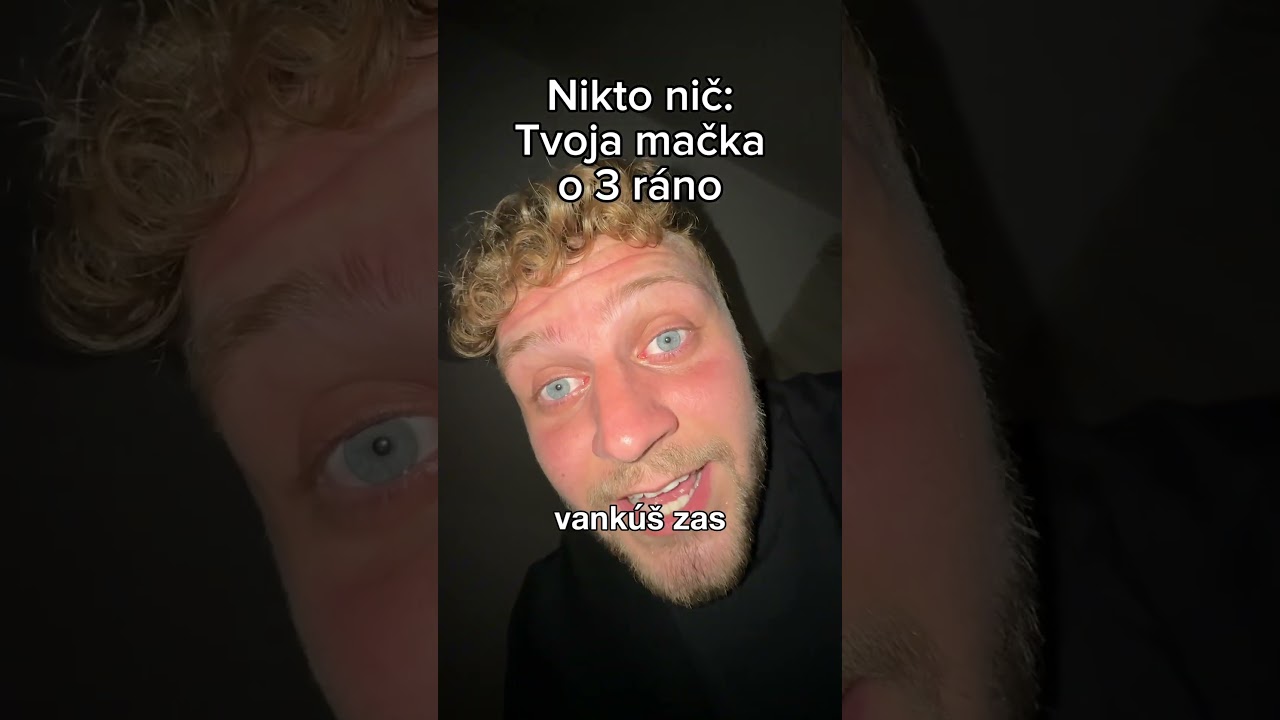 Jeden z dôvodov prečo pes je lepší ako mačka