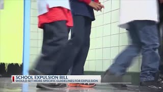 Bill would set more specific guidelines for school expulsions
