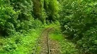 Whatsapp Status Videolari Menzere Statuslari