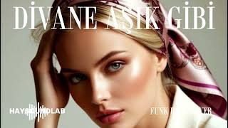 Di̇vane Aşik Gi̇bi̇ (Funk Rock Cover) - Haysoundlab