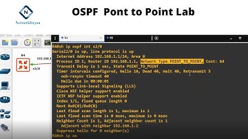 OSPF Point to Point Network | CCNA | Networkforyou | Point-to-MultiPoint Simulations