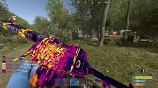 Rust Dma Showcase