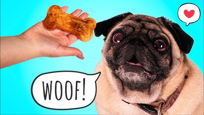 Homemade Dog Treat Toy Filling Recipe - {Not Quite} Susie Homemaker